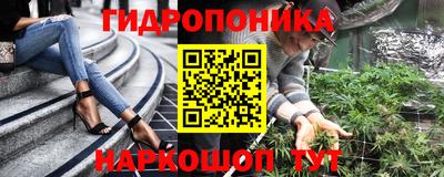 крисы Канаш