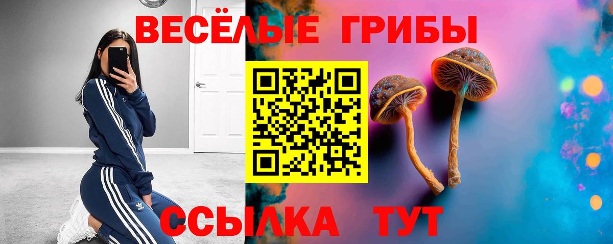 Галлюциногенные грибы Cubensis  Галлюциногенные грибы GOLDEN TEACHER  Краснокаменск  Вход с VPN 